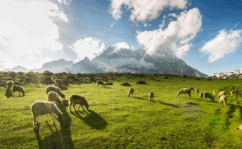 Kashmir Great lakes trek
