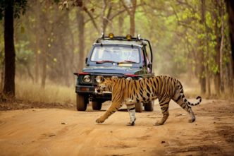 Glimpses of Madhya Pradesh