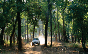 Glimpses of Madhya Pradesh